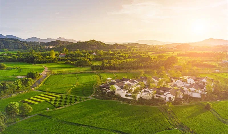 1506498891943704A50u.jpg 1506498891943704A50u.jpg